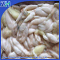 Thailand market frozen illex squid roe egg